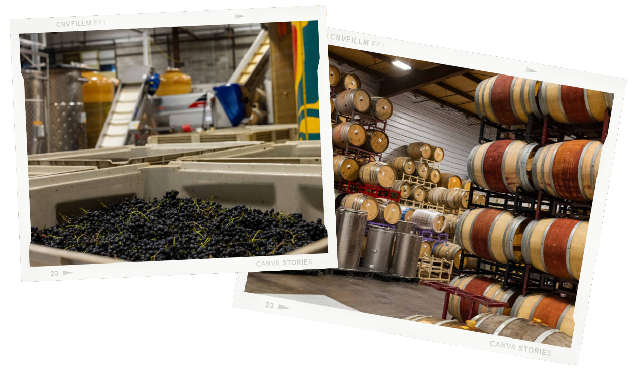 Winemaking Services | Common Wealth Crush Co.